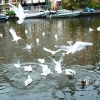 dscf0402.jpg