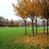 dscf0405.jpg